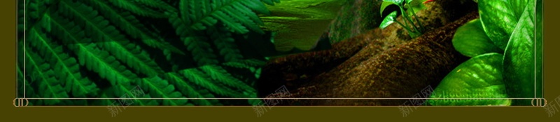 亲近大自然房地产psd设计背景_新图网 https://ixintu.com 把家种在大森林 亲近大自然 环保地产 绿色地产 自然地产 绿色生活地产 健康生活地产 平面设计 分层文件 PSD源文件 150PPI