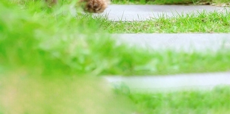 可爱卡通萌泰迪H5背景jpg设计背景_新图网 https://ixintu.com 萌宠 狗狗 泰迪 动物 彩色 可爱 卡通 H5 h5 童趣 手绘