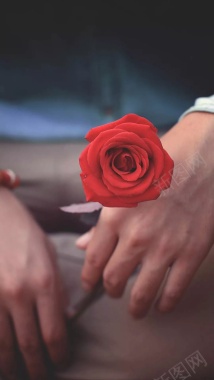 型男红玫瑰背景模糊摄影H5背景摄影图片