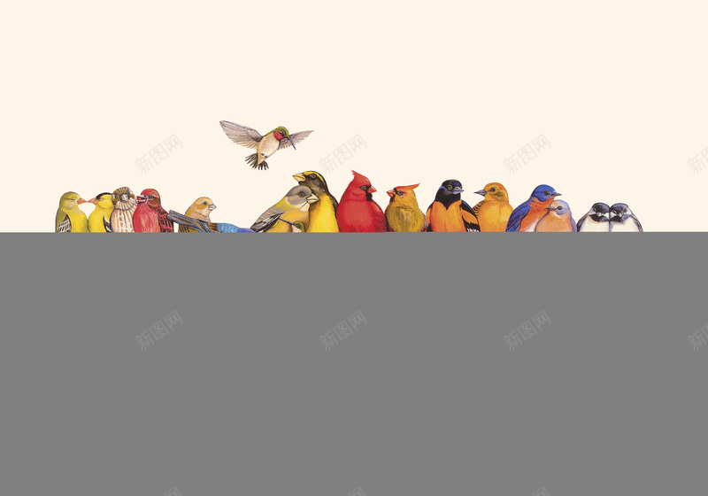 彩铅小鸟背景jpg设计背景_新图网 https://ixintu.com 卡通 小鸟 彩色 彩铅 背景 童趣 手绘