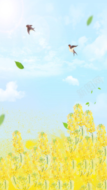 嫩绿色春天手绘油菜花H5背景素材背景