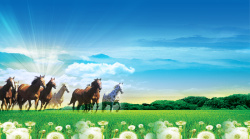 奔腾的马匹小清新万马奔腾草原海报背景素材高清图片