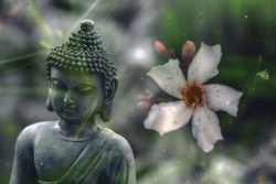 佛雕像花朵石像佛祖背景高清图片