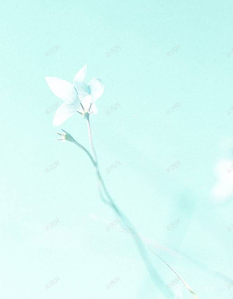 简约淡蓝色花朵背景jpg设计背景_新图网 https://ixintu.com 淡蓝色 花朵 卡通 童趣 手绘 H5 h5