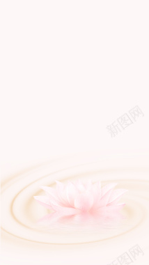 粉色简约花朵化妆品H5分层背景背景