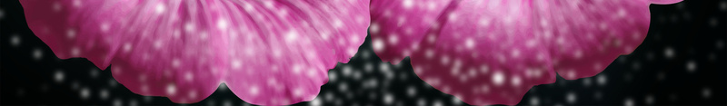 紫色框架背景海报素材psd设计背景_新图网 https://ixintu.com 紫色花 圆点 框架 紫色 花朵 相框 相框背景 相框海报