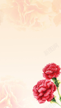 母亲节浪漫康乃馨手绘花朵背景素材背景