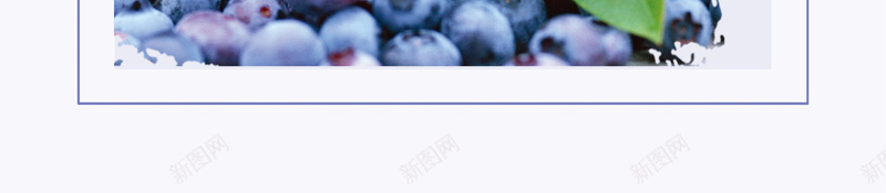 简约新鲜水果蓝莓果酱海报背景素材psd设计背景_新图网 https://ixintu.com 产品展示 新鲜水果 绿色水果 果园 果酱 美味自然 促销海报 蓝莓水果 蓝莓宣传单 广告海报背景 兴奋