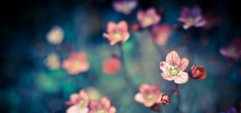 日系文艺深色花朵背景背景