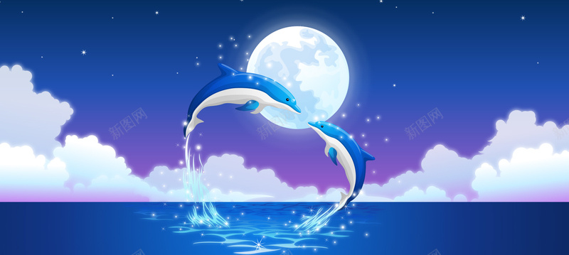 海豚爱情背景banner背景