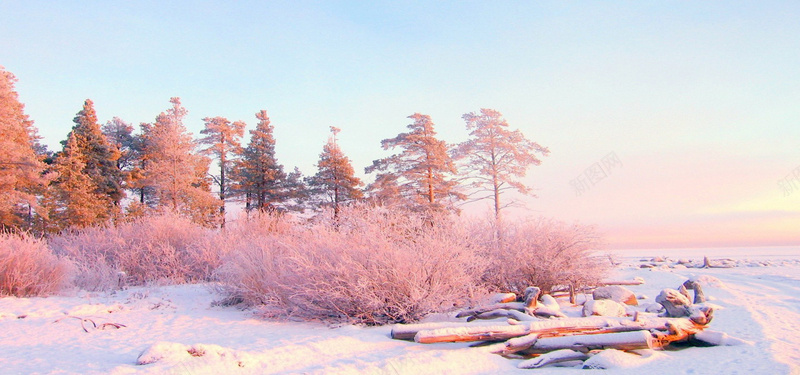 冬季雪地风景背景