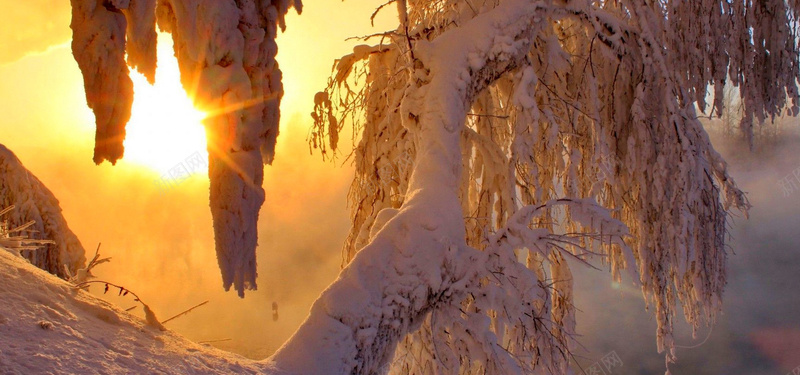 阳光雪地背景背景