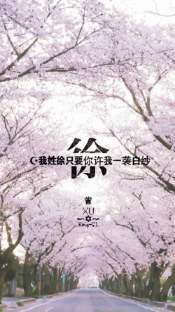 樱花道浪漫樱花道H5背景高清图片