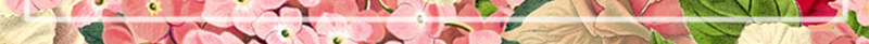 手绘花朵广告背景素材psd设计背景_新图网 https://ixintu.com 几何 展板 手绘 玫红 红色 花朵 背景 卡通 童趣 开心