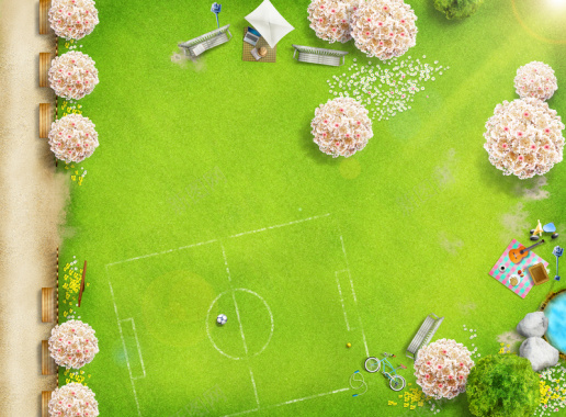 布满白色花朵的草地上的足球场背景