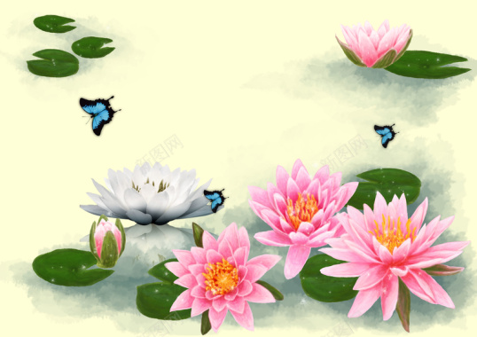 中国风美丽莲花池背景素材背景