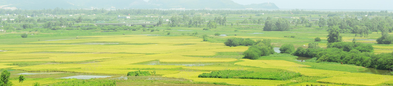 美丽生态乡村旅游郊游海报背景素材jpg设计背景_新图网 https://ixintu.com 农业农村部 农村体验 农村旅游 广告设计 开心 文化旅游 新农村 旅游节 海报背景 生态乡村 生态农业 美丽乡村 赏花