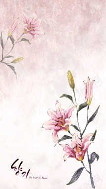 温馨粉色韩国花朵H5背景免费下载背景