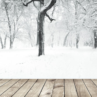 冬季树木地板背景图背景