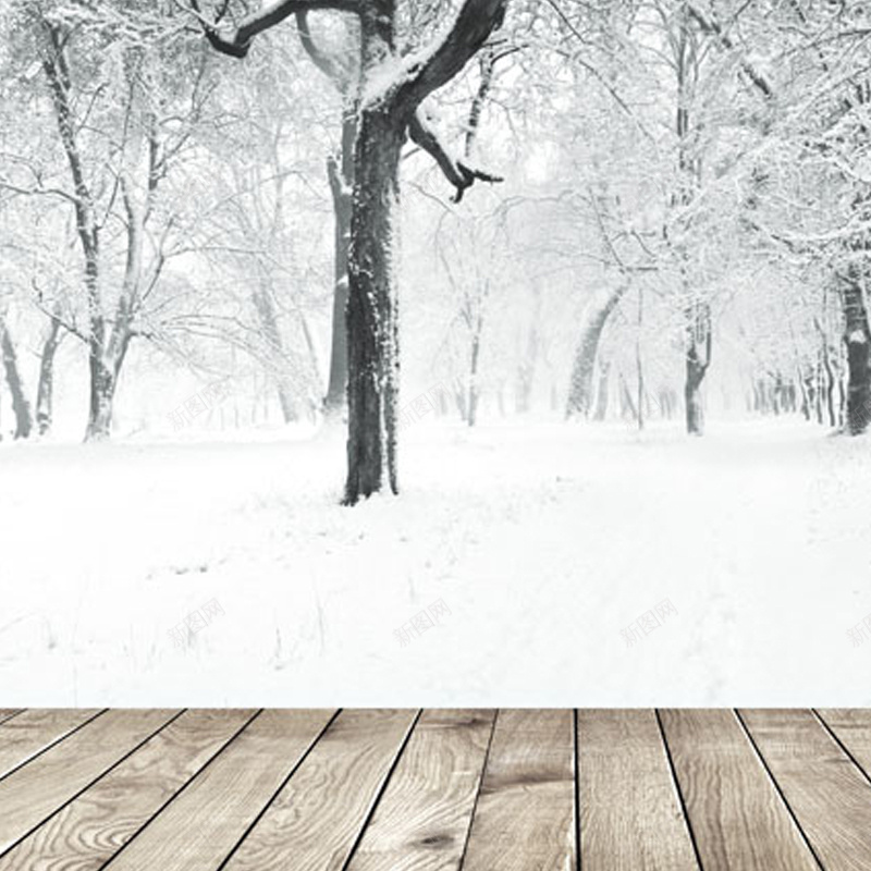 冬季树木地板背景图jpg设计背景_新图网 https://ixintu.com 冬季 树木 地板 雪地 主图