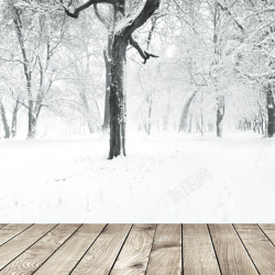 冬季雪地棉主图冬季树木地板背景图高清图片