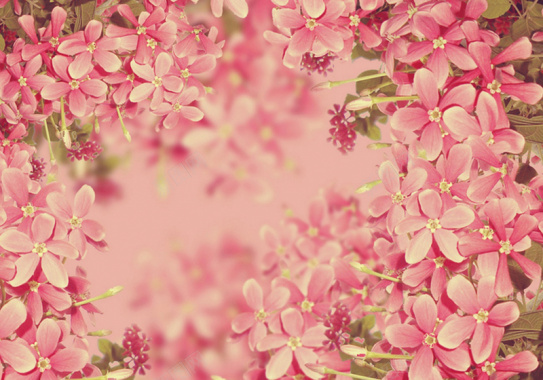 立体粉红小花背景背景
