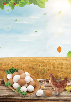 农家特产松茸农家土特产土鸡蛋广告海报背景素材高清图片