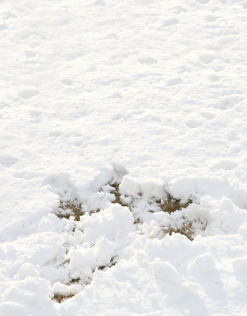 圣诞节白色雪地唯美背景jpg设计背景_新图网 https://ixintu.com 圣诞节 唯美 白色 背景 雪地 平静 浪漫 梦幻