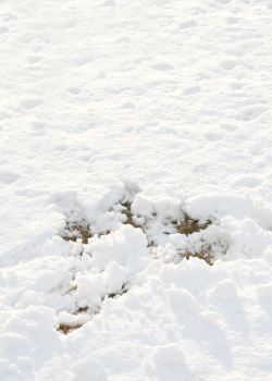 banner平静白色圣诞节白色雪地唯美背景高清图片