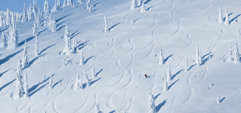 冬季滑雪淘宝海报背景bannerjpg设计背景_新图网 https://ixintu.com 雪 冬季 滑雪 树 海报banner 摄影 风景