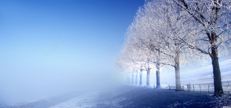 森林雪景唯美背景图背景