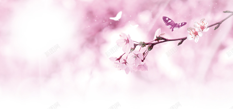 粉色桃花梦幻背景psd设计背景_新图网 https://ixintu.com 三生三世十里桃花 桃花节 桃花姬 桃花劫 粉色 桃花 梦幻背景 海报banner 浪漫 梦幻