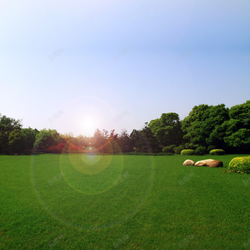 草地风景背景jpg设计背景_新图网 https://ixintu.com 草地 树 光晕 主图 摄影 风景