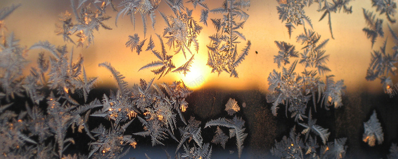 冬季冰花背景背景