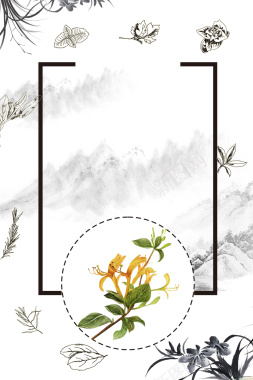 中医疗法中药养生背景