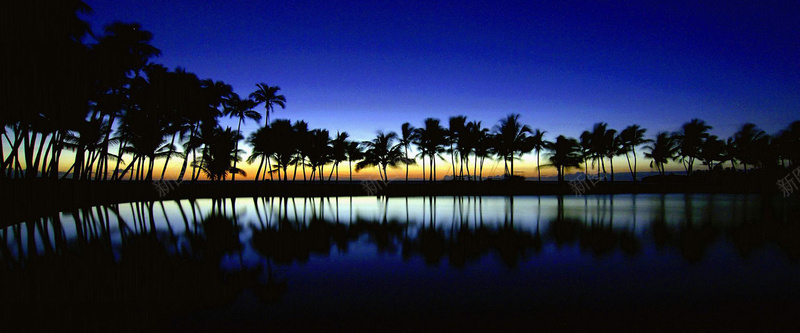海边椰林夜景背景