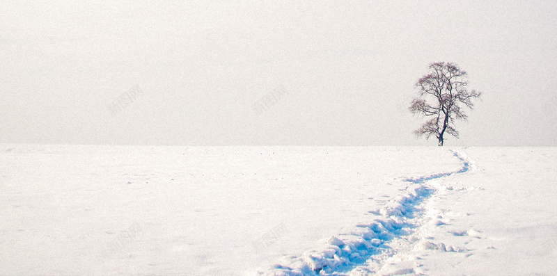 冬季H5背景jpg设计背景_新图网 https://ixintu.com 冬季 白雪 树木 天空 蓝白 H5背景 大气 H5 h5