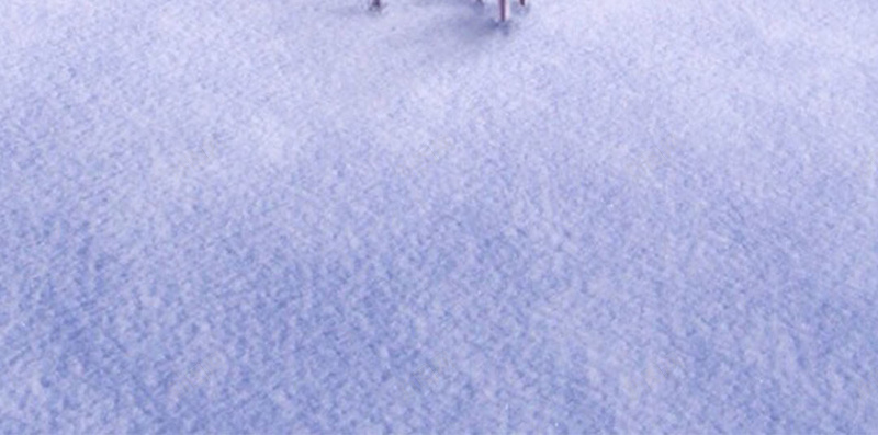 留下脚印的鹿H5素材jpg设计背景_新图网 https://ixintu.com 冬季 动物 白雪 树 鹿 H5素材