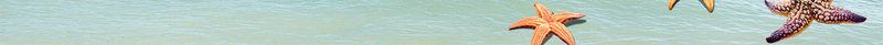 小清新夏令营活动宣传海报背景素材psd设计背景_新图网 https://ixintu.com 小清新 氢气球 夏日 暑假 海水 夏令营 活动 宣传 海报 背景 素材