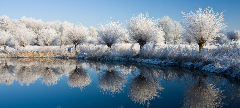 冬季雾凇唯美背景jpg设计背景_新图网 https://ixintu.com 海报banner 摄影 风景 冬季雾凇唯美背景