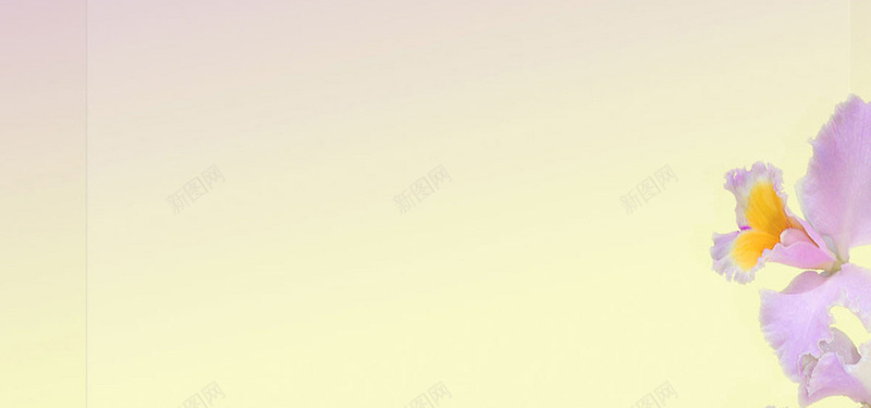 兰花粉紫色背景jpg设计背景_新图网 https://ixintu.com 海报banner 兰花背景 粉紫色 图片 纯色 浪漫 梦幻