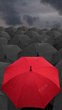 雨伞下的人们雨下的红色雨伞背景H5高清图片