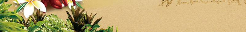 创意清新国庆海南旅游背景psd设计背景_新图网 https://ixintu.com 手绘 海滩 国庆出游 旅游宣传单 秋季旅游 海南旅游 旅游促销 旅游创意 旅行海报 旅游宣传