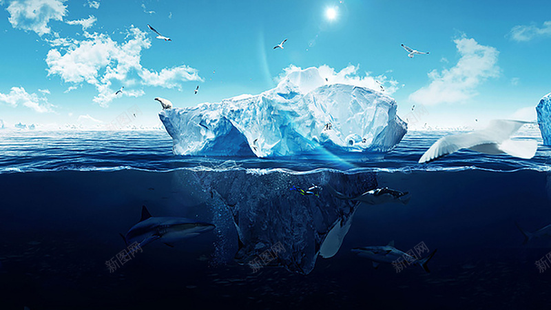 北极海洋背景图jpg设计背景_新图网 https://ixintu.com 大冰块 海豚 海鸥 北极熊 阳光 蓝天生机 摄影 风景