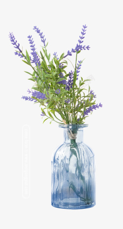 紫色花素材花瓶免扣素材