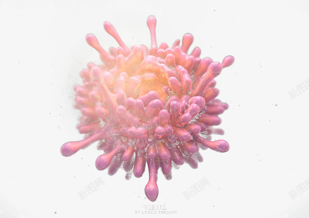 彩色水滴效果花朵图案png免抠素材_新图网 https://ixintu.com 彩色 水滴 效果 花朵 图案