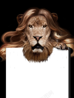 创意狮子美容美发宣传海报背景素材背景