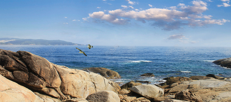 美容养生背景psd设计背景_新图网 https://ixintu.com 海报banner 保健品背景 化妆品背景 大海 石头 文艺 小清新 简约