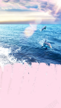 海边自然海洋海豚H5背景素材背景