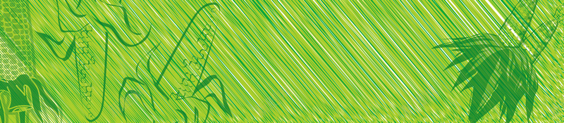 新鲜玉米海报背景jpg设计背景_新图网 https://ixintu.com 五谷杂粮 玉米棒 五谷 玉米 粗粮 玉米包装 玉米海报 玉米粒 玉米图片 玉米汁